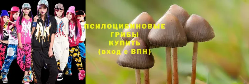 даркнет сайт  Белоусово  Псилоцибиновые грибы MAGIC MUSHROOMS 